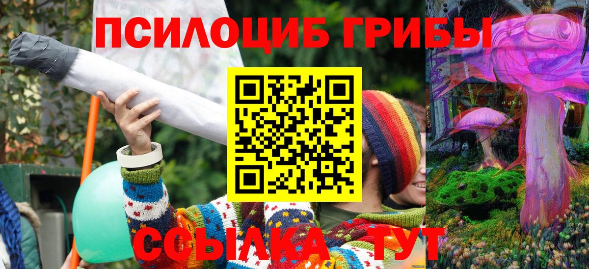 Псилоцибиновые грибы Magic Shrooms  Вход с VPN  Киселёвск 