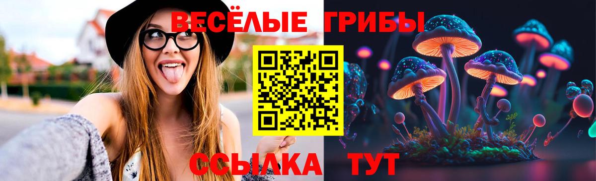 Псилоцибиновые грибы Magic Shrooms Киселёвск